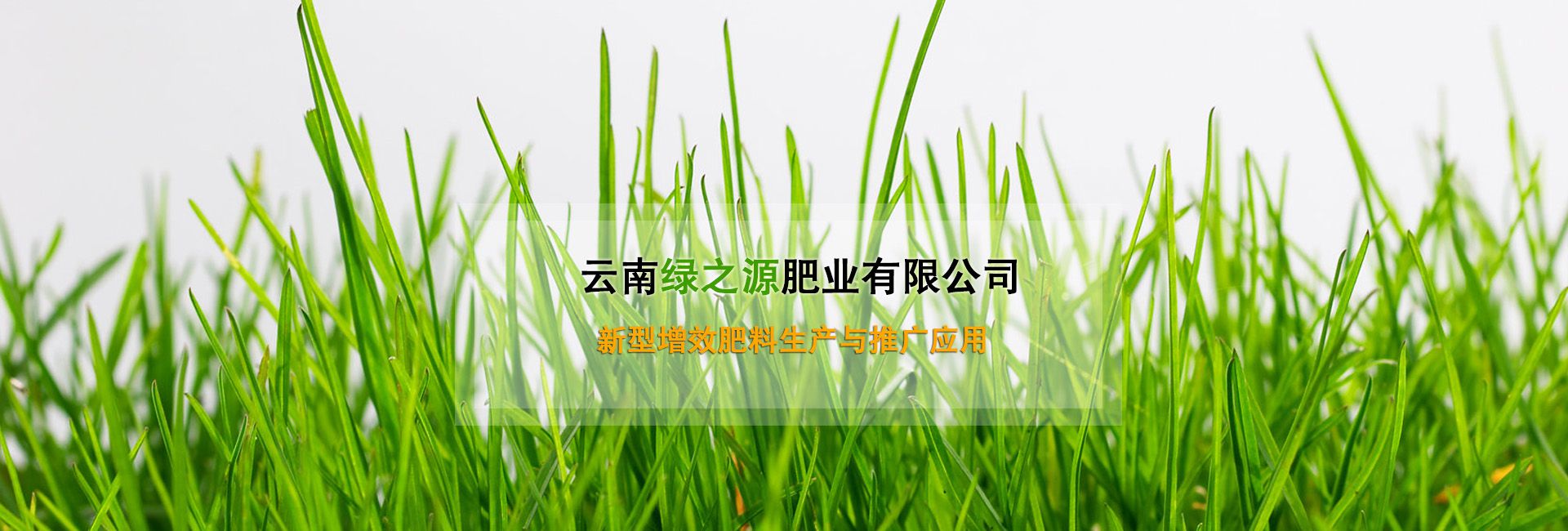 云南绿之源肥业有限公司广告banner1